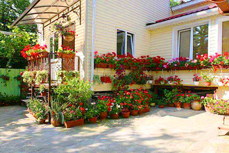 ����������� - �������� ���