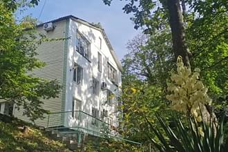 �������-����� - �������� ���