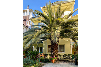 ������� - �������� ���