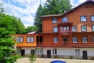 �Forest Stories� - �����