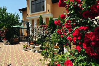 ��������� - �������� ���