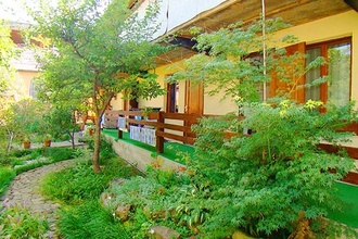 ����������� - �������� ���