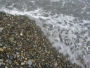 Берег моря берег, пена, море, галька