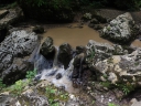 Затон на реке река, камень, лес