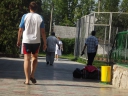 Прогулка по территории зелень, сетка, отдыхающие