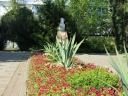Парк Парк, памятник, кусты