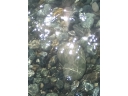 Прозрачная и чистая вода в море. пляж, море
