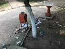 мусор, ведро, дерево