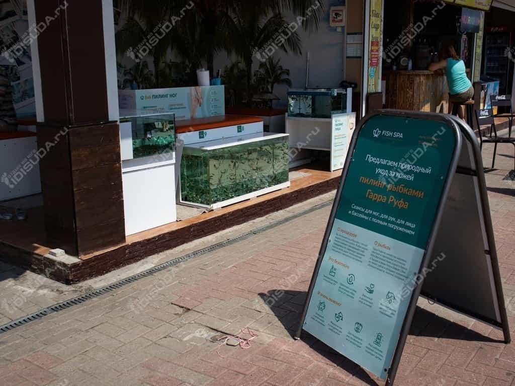 Fish SPA - рекламный штендер сервиса пилинга рыбками и аквариум с рыбками в Дивноморске