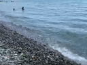 видео номер 227